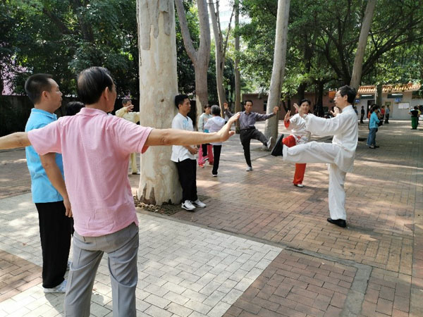 苏华祥老师讲解24式简化太极拳动作