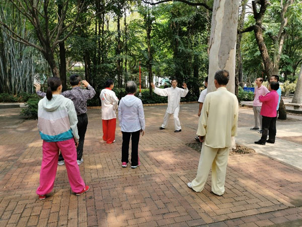 苏华祥老师讲解陈式太极拳动作