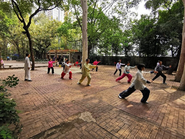 集体演练24式简化太极拳